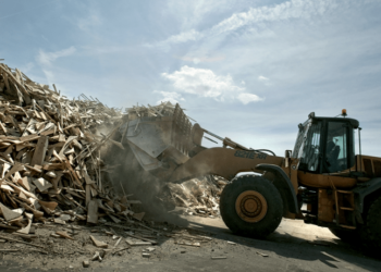 biomass wood recycling