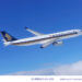 Singapore Airline