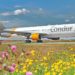 Condor