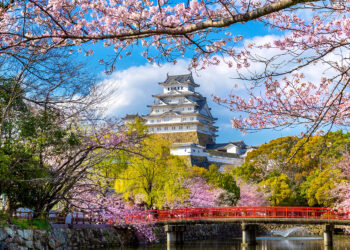 Etihad Airways announces new route to Osaka, Japan, image shows Osaka castle, Himeji castle in Japan surrounded by cherry blossom. Photo is taken from across a river.