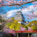 Etihad Airways announces new route to Osaka, Japan, image shows Osaka castle, Himeji castle in Japan surrounded by cherry blossom. Photo is taken from across a river.