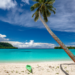 Direct flights to Vanuatu announced by Qantas and Jetstar, MTB Events. Image shows a beach with a green kayak and palm tree, Vanuatu.