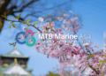 MTB Marine Asia 2026 Inspiring Connections and Maritime Advancements in Osaka, MTB Events