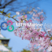 MTB Marine Asia 2026 Inspiring Connections and Maritime Advancements in Osaka, MTB Events