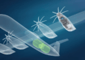 Airbus and MTU Expand Hydrogen Collaboration with Planned Joint Venture, MTB Events.