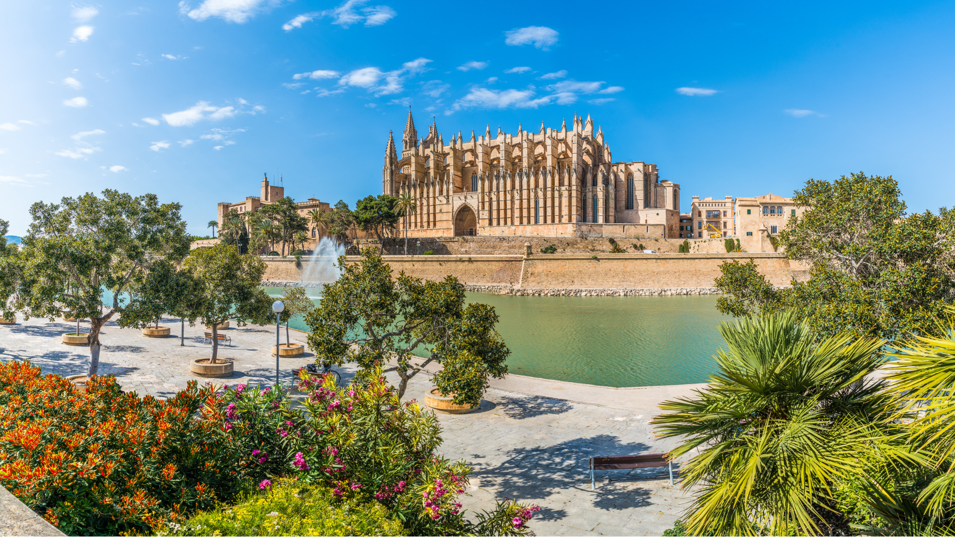 Palma