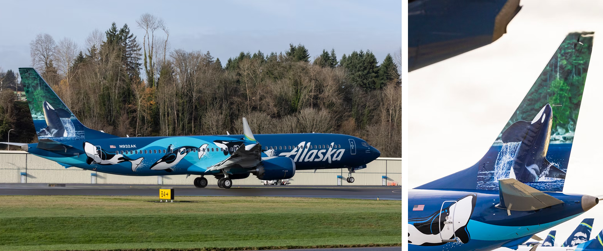 7 of the most unusual and impressive aircraft liveries, MTB Events. Image shows Alaska Airlines aircraft with orcas swimming along fuselage. 