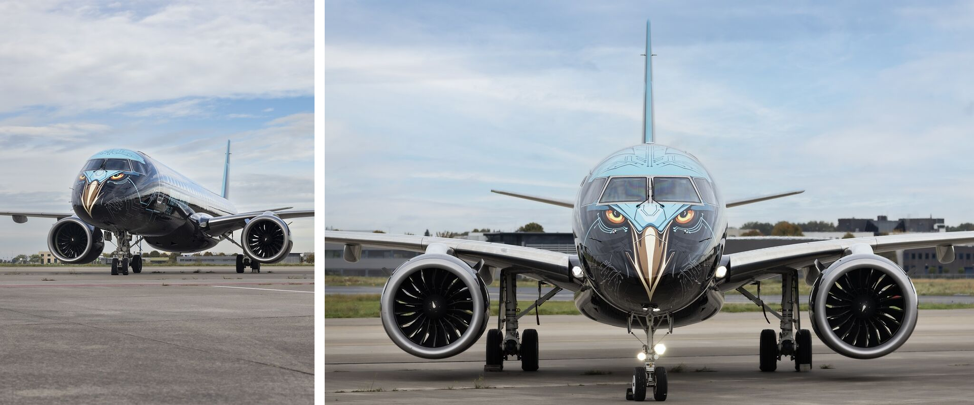 7 of the most unusual and impressive aircraft liveries, MTB Events. Image shows an Embraer plane painted like an eagle.